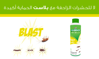 blast
