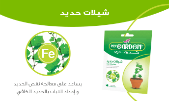 fe-f