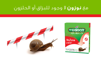 nozone