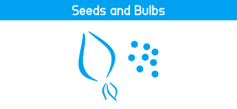 Seeds and Bulbs